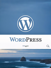 WordPress 教程