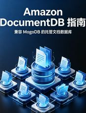 Amazon DocumentDB (兼容 MongoDB) 开发人员指南